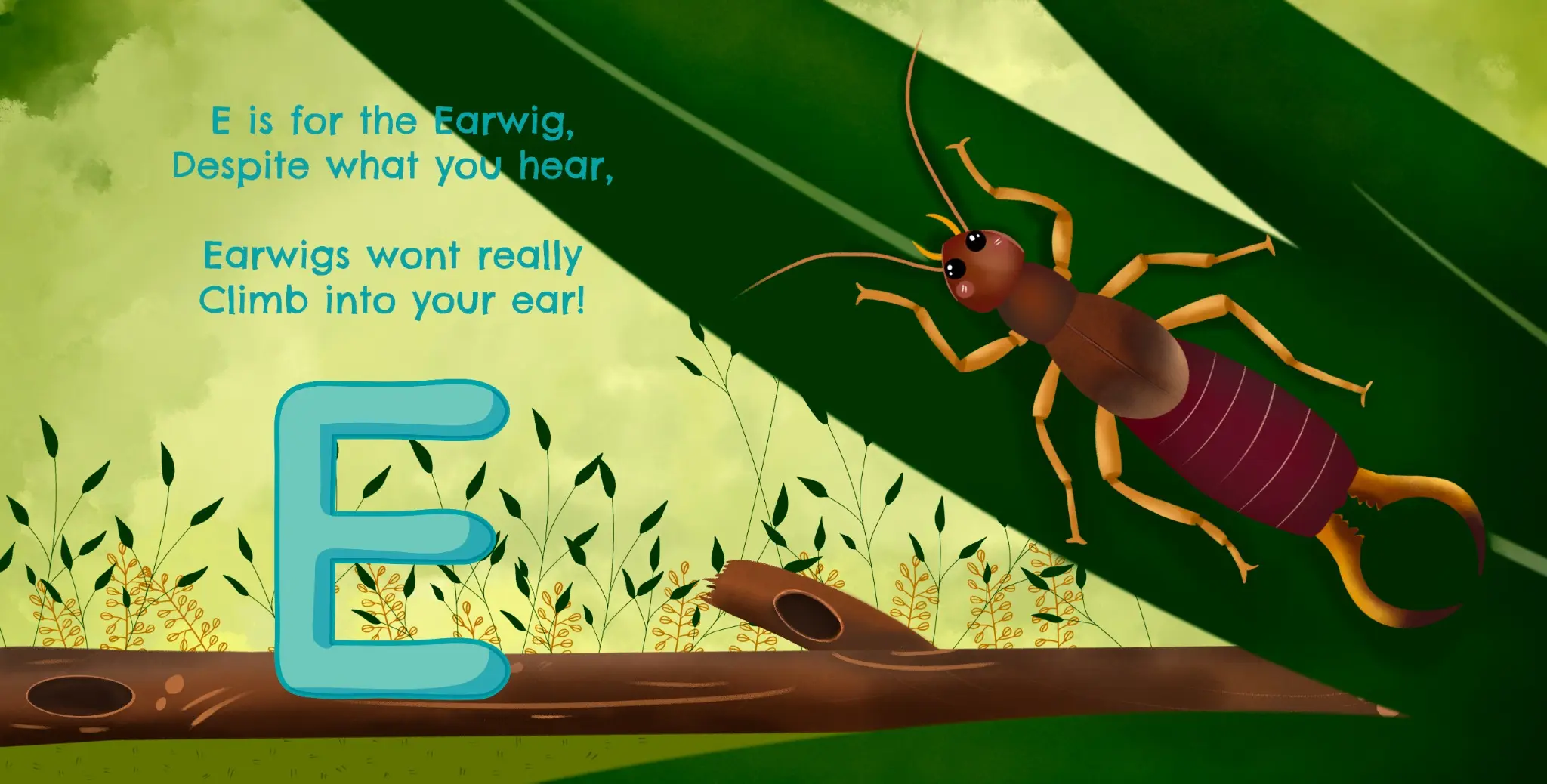E is for Earwig illustrated activity-book page